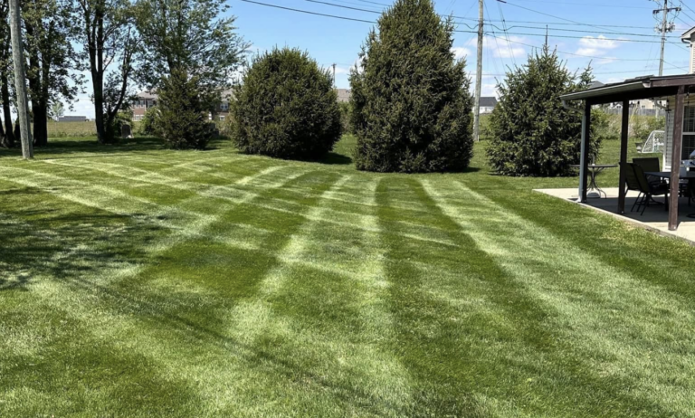 The Hidden Benefits of Early Lawn Care Scheduling